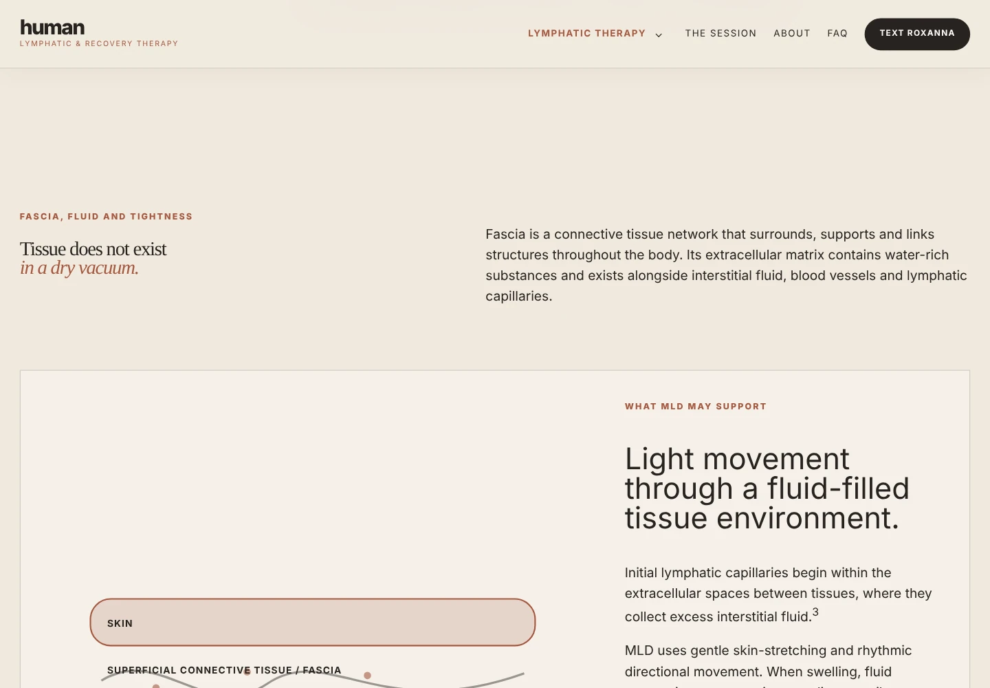 HUMAN fascia, fluid and tightness education preview